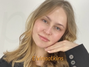 Elvinaatkins