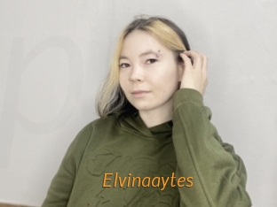 Elvinaaytes