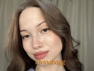 Elvinabagg