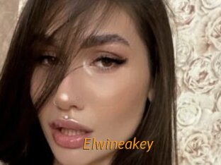Elwineakey