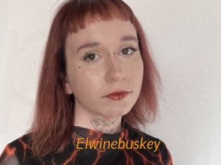 Elwinebuskey
