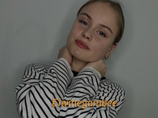 Elwinegambee