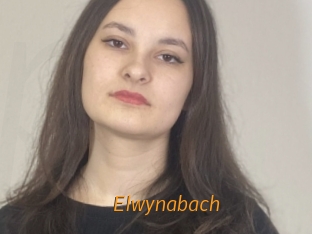 Elwynabach