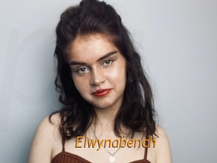 Elwynabench
