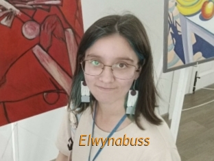 Elwynabuss
