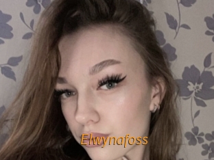 Elwynafoss