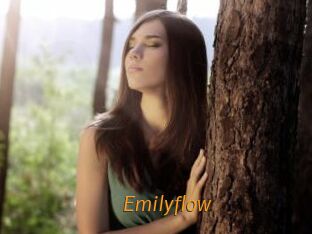 Emilyflow