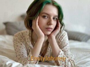 Emilylabunny