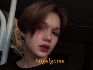 Engelgorse