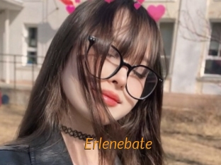Erlenebate