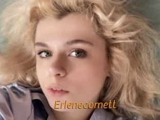 Erlenecornett