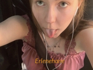 Erlenehane