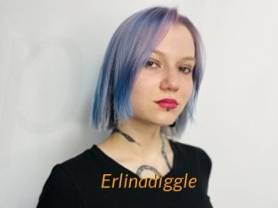 Erlinadiggle
