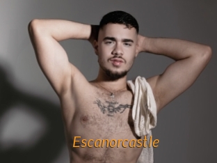escanorcastle Porn University