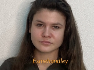 Esmehandley