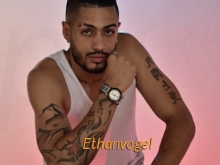 Ethanvogel