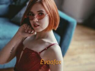 Evaafox