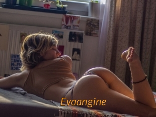 Evaangine