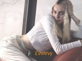 Evalevy