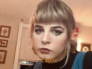 Evalix