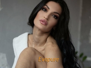 evapure Porn University