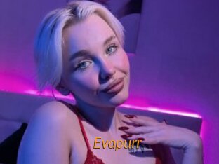 Evapurr