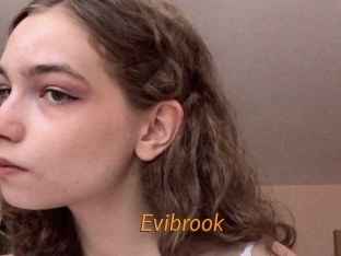 Evibrook
