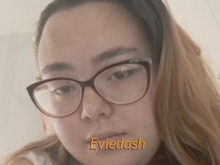 Eviedash