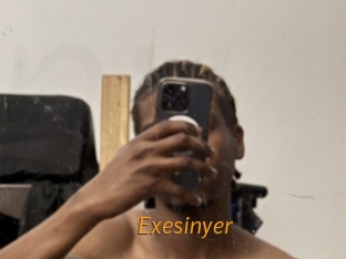 exesinyer Porn University