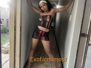 Exoticmimosa