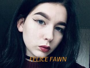 FELICE_FAWN