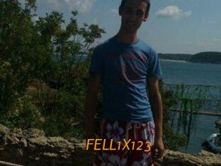 FELL1X123