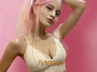 FeNiKs09
