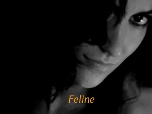 Feline