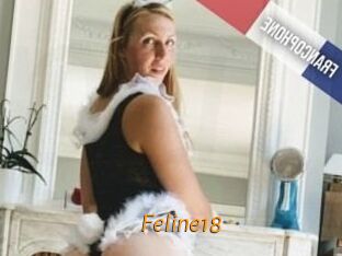 Feline18