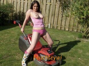 Feuchteywi