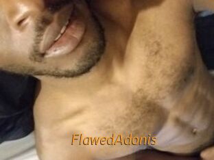 FlawedAdonis Porn University