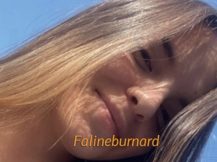 Falineburnard