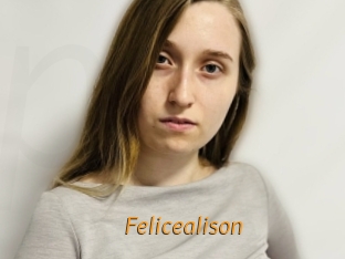 felicealison Porn University