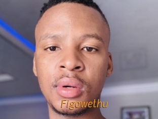 Figowethu