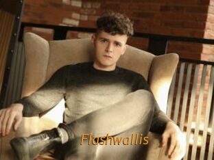 Flashwallis