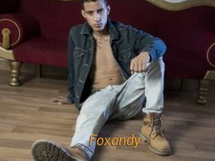 foxandy Porn University