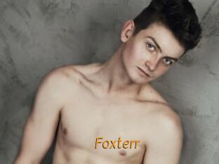 Foxterr