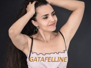 GATAFELLINE