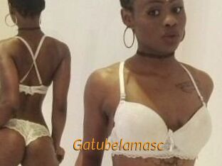 Gatubela_masc