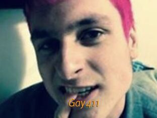 Gay411