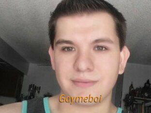 Gaymeboi