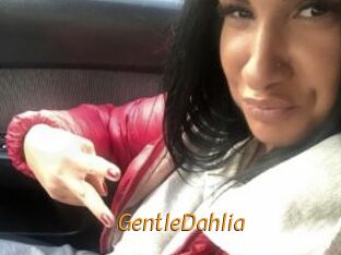 GentleDahlia