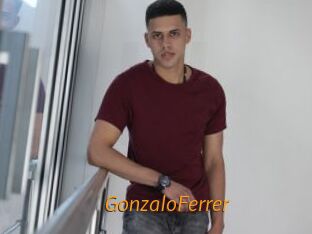 GonzaloFerrer