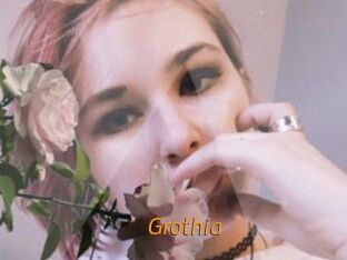 Grothia